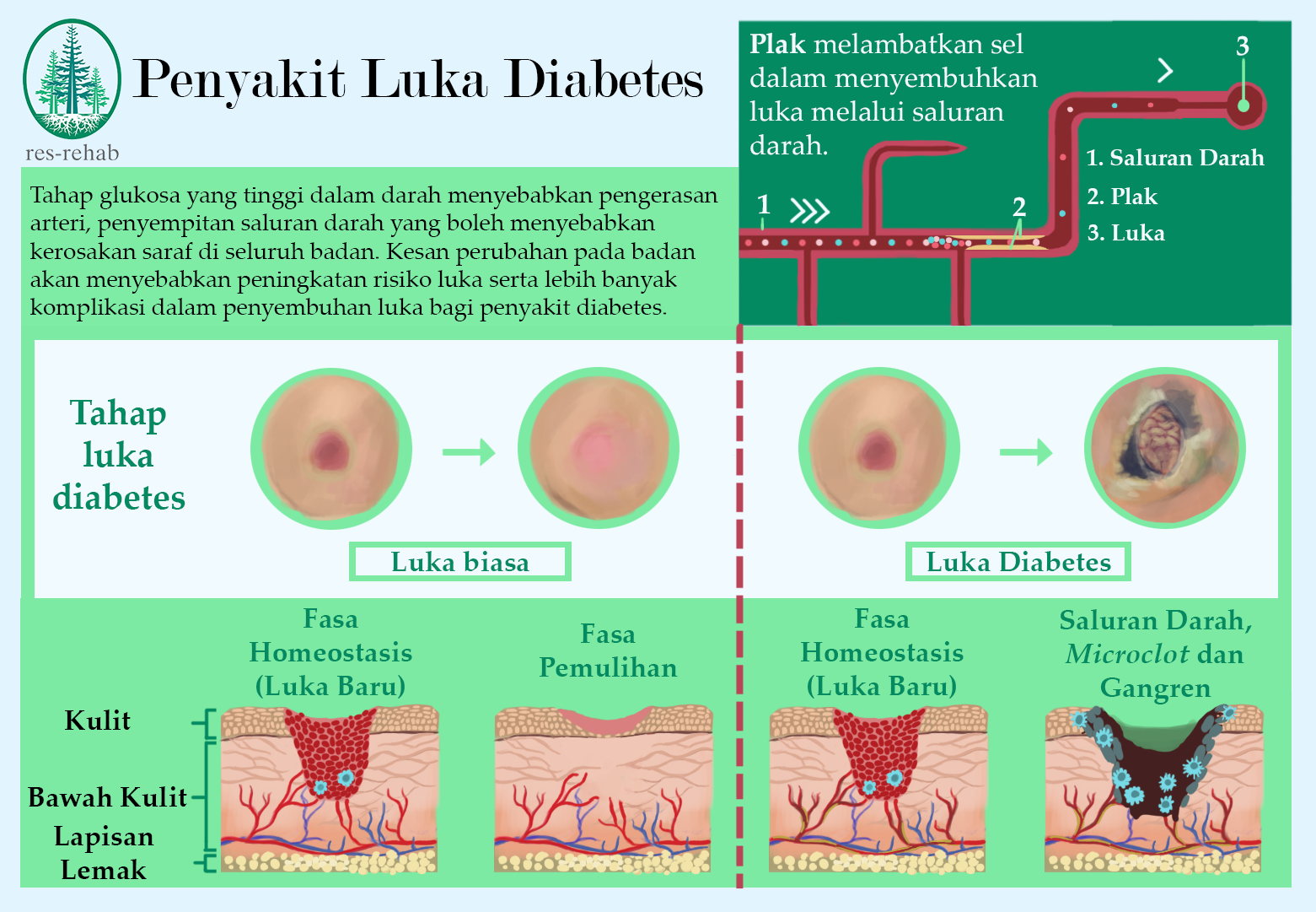 DiabeticWound_Recovery