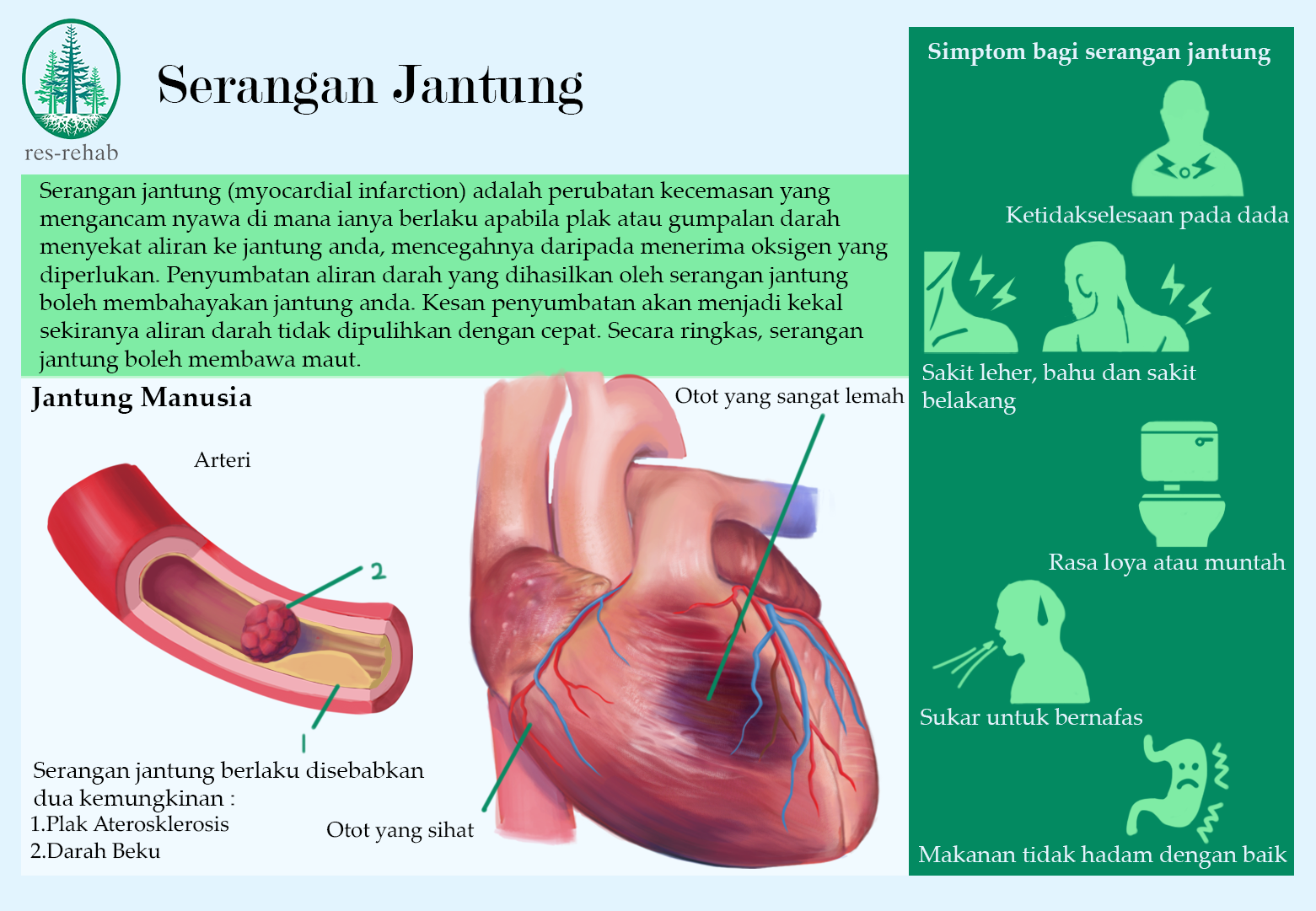HeartAttack_Infographic